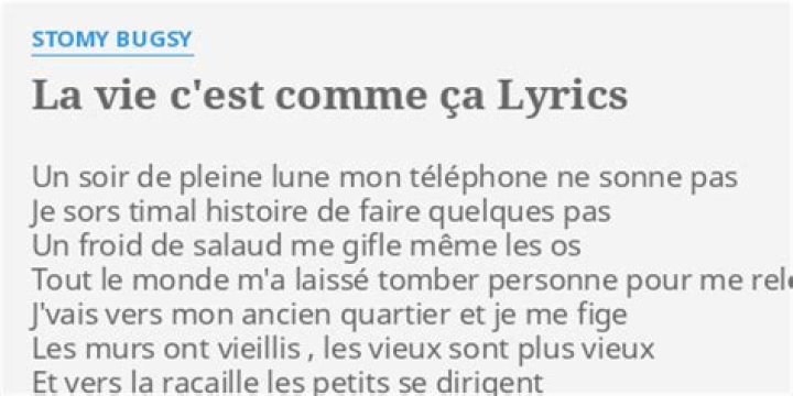 Stomy Bugsy La Vie C'est Comme Ça Lyrics English Translation