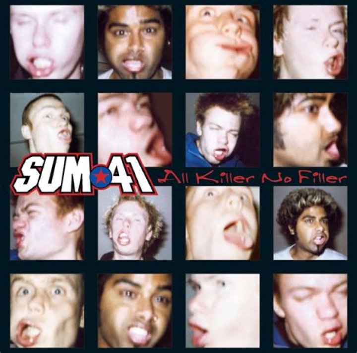 Sum 41 - Fat Lip Lyrics Meaning
