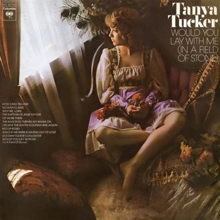 Tanya Tucker - Would You Lay with Me (In a Field of Stone) Lyrics Meaning
