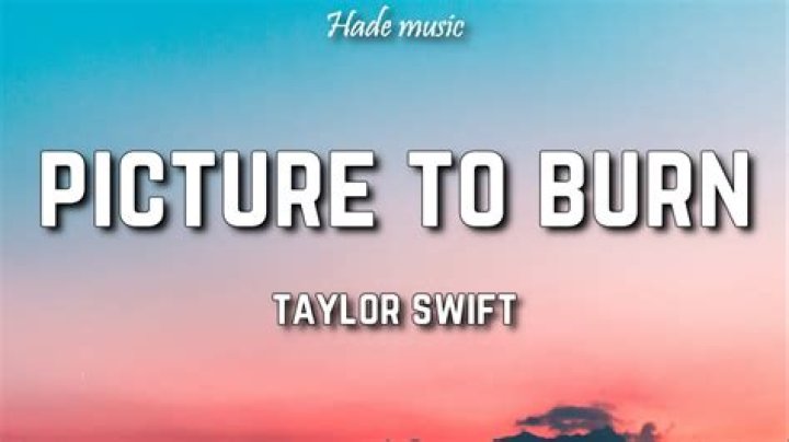 Taylor Swift - Picture to Burn Lyrics Meaning