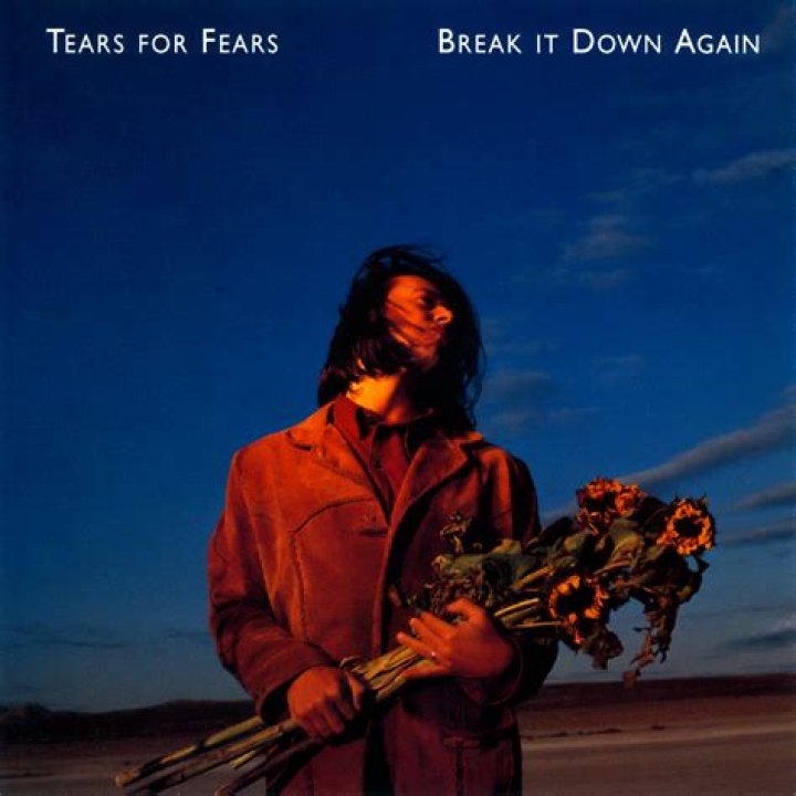 Tears For Fears - Break It Down Again Lyrics Meaning