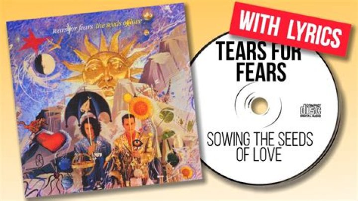 Tears For Fears - Sowing the Seeds of Love Lyrics Meaning