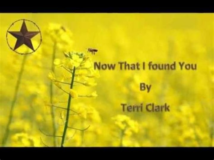 Terri Clark - Now That I Found You Lyrics Meaning