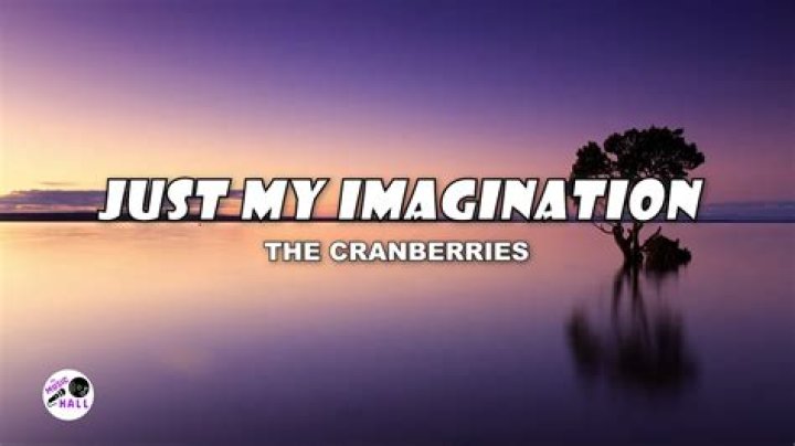 The Cranberries - Just My Imagination Lyrics Meaning