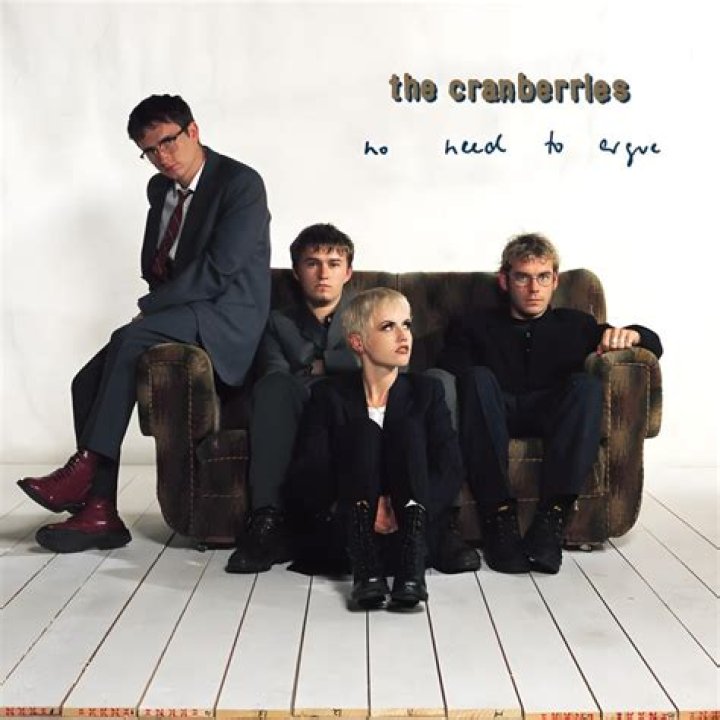The Cranberries - No Need to Argue Lyrics Meaning