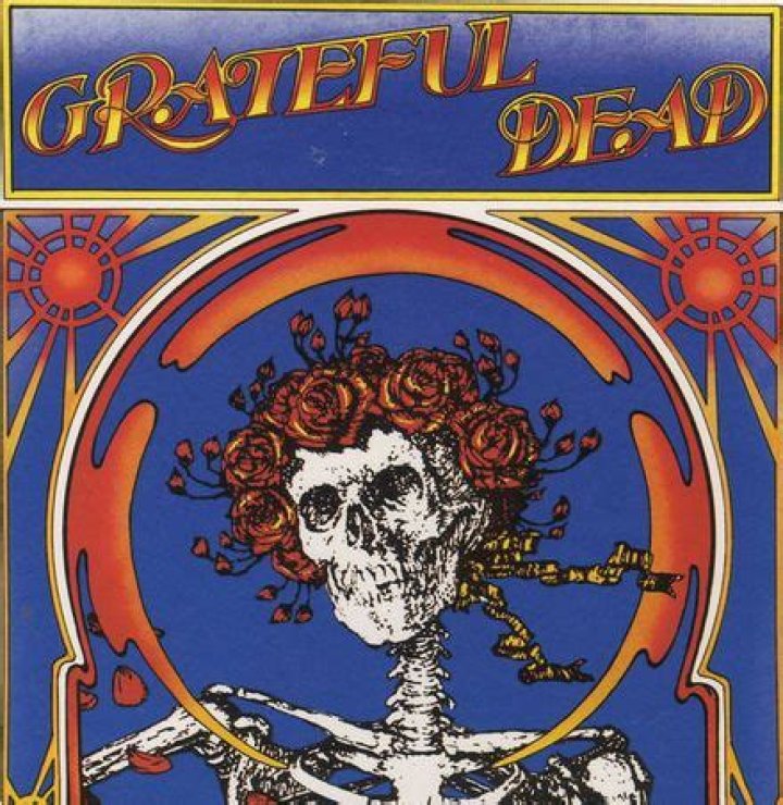 The Grateful Dead - Bertha Lyrics Meaning