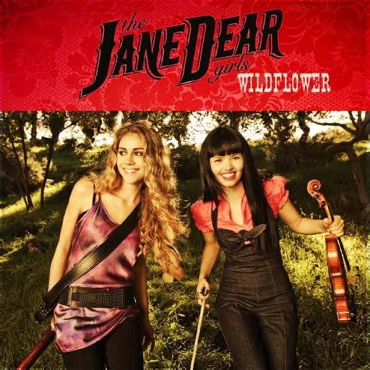 The JaneDear Girls - Wildflowers Lyrics Meaning