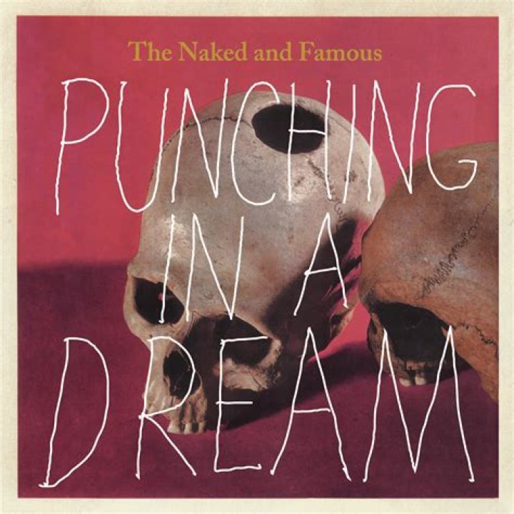 The Naked and Famous - Punching in a Dream Lyrics Meaning
