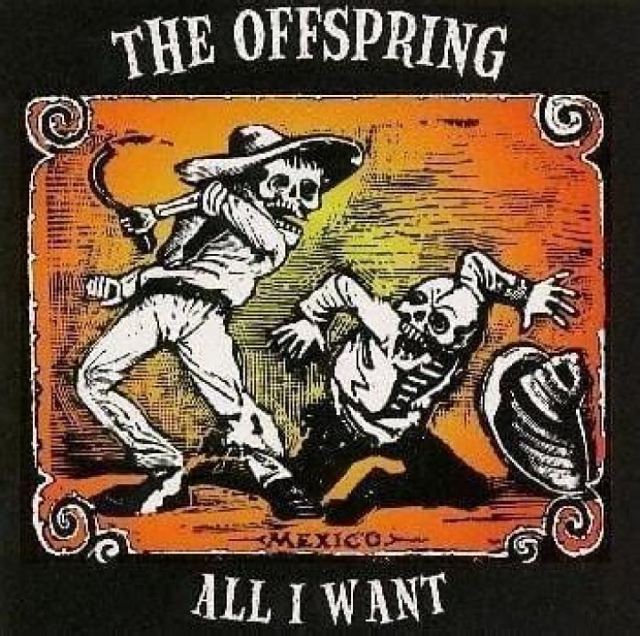 The Offspring - All I Want Lyrics Meaning