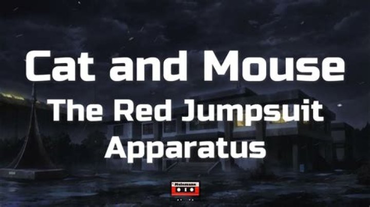 The Red Jumpsuit Apparatus - Cat and Mouse Lyrics Meaning