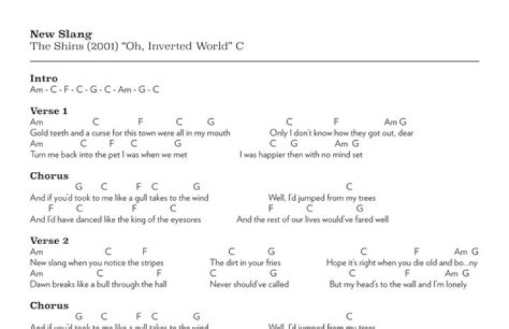 The Shins New Slang Lyrics