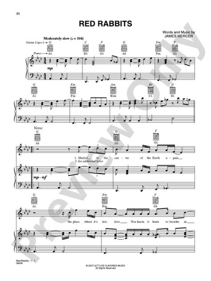 The Shins - Red Rabbits Lyrics Meaning