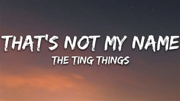 The Ting Tings - That's Not My Name Lyrics Meaning