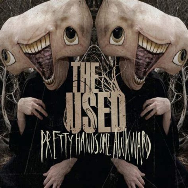 The Used - Pretty Handsome Awkward Lyrics Meaning