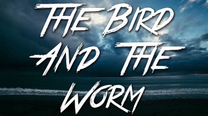 The Used - The Bird and the Worm Lyrics Meaning
