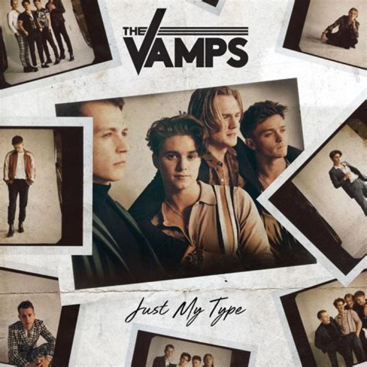 The Vamps - Just My Type Lyrics Meaning