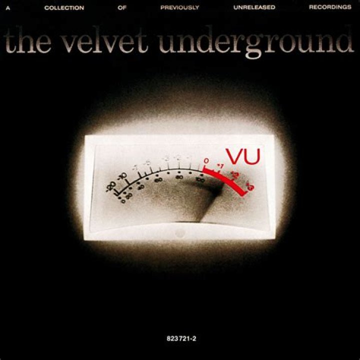 The Velvet Underground - I'm Sticking with You Lyrics Meaning