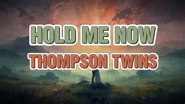 Thompson Twins Hold Me Now Lyrics English Translation