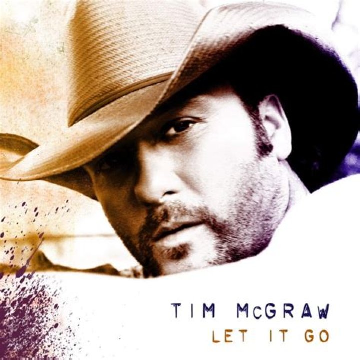 Tim McGraw - Shotgun Rider Lyrics Meaning
