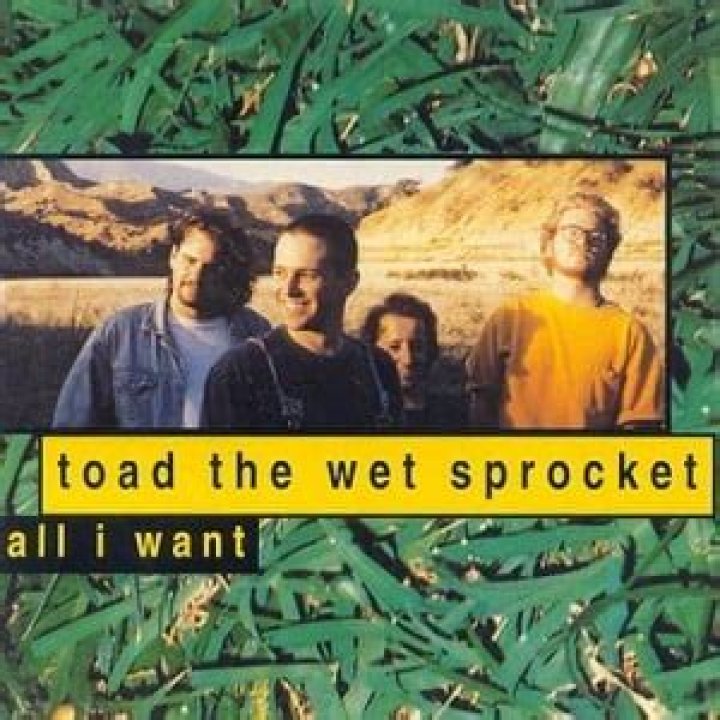 Toad the Wet Sprocket - All I Want Lyrics Meaning