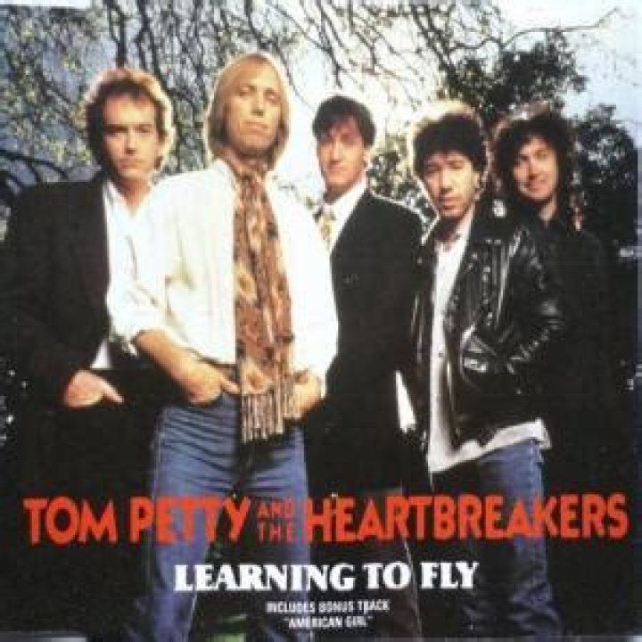 Tom Petty - Learning to Fly Lyrics Meaning