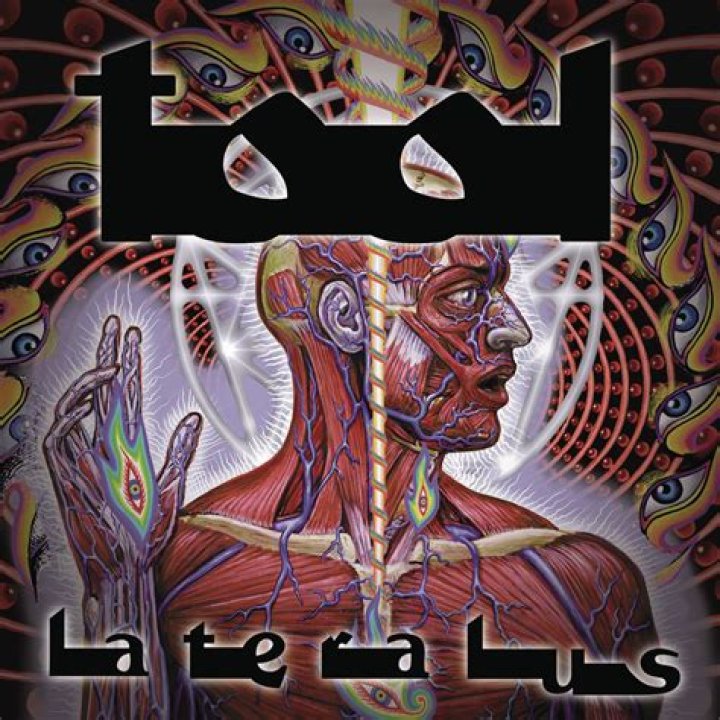 Tool - Parabola Lyrics Meaning