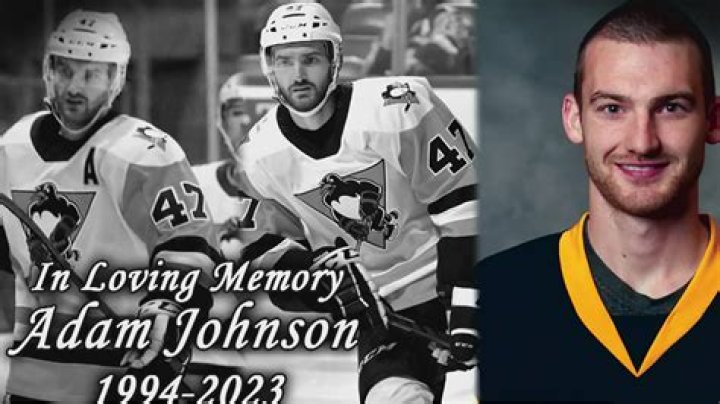 Tragic Death of Hockey Player Adam Johnson Caught on Video (Remembering Him)