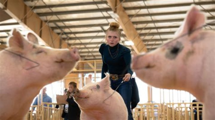 Tragic Loss: Brady Dodson Tragically Dies by Suicide; Who is Brady Dodson? What happened to him? Madison Community Mourns, Cause of Death