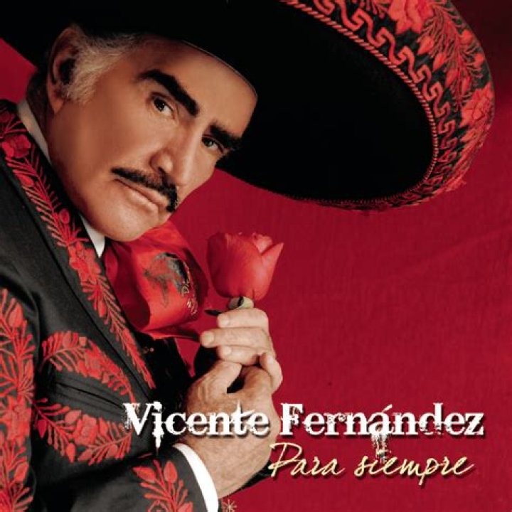 Vicente Fernández La Derrota Lyrics English Translation