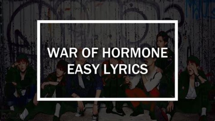 War of Hormone Lyrics Meaning