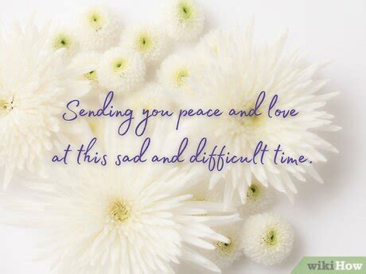 Wayne Eder Obituary: Sudden Passing of Beloved Beaver County, PA Resident on Birthday Sparks Tributes and Condolences