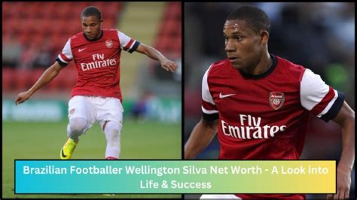 Wellington Silva Net Worth: Details About Him, Career, Home, Age, Income