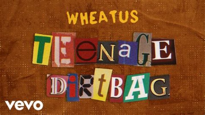 Wheatus - Teenage Dirtbag Lyrics Meaning