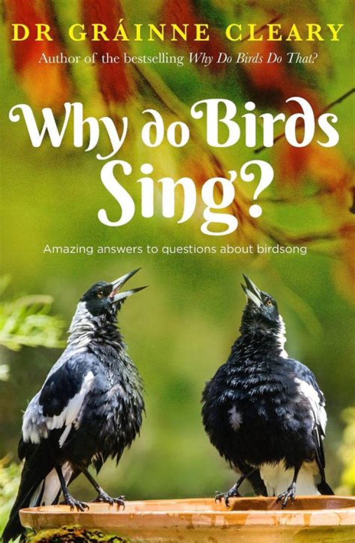 Why do birds sing lyrics