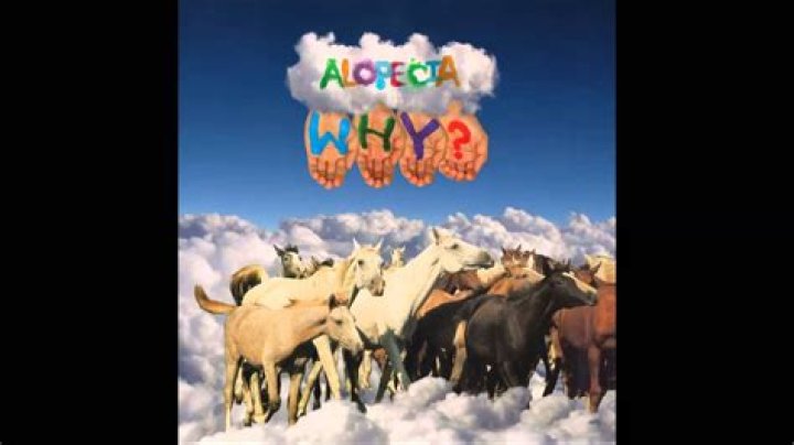 Why? - Simeon's Dilemma Lyrics Meaning