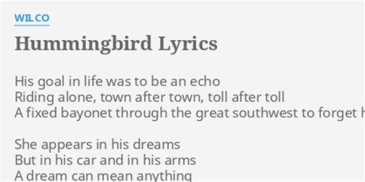 Wilco - Hummingbird Lyrics Meaning