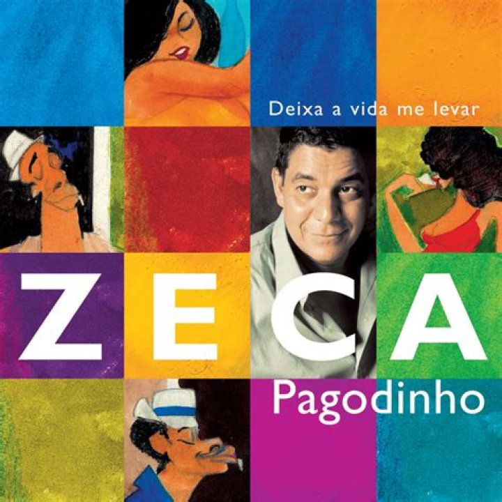 Zeca Pagodinho Deixa A Vida Me Levar Lyrics English Translation